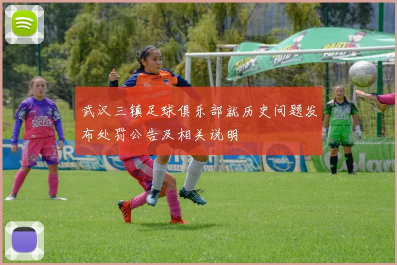 武汉三镇足球俱乐部就历史问题发布处罚公告及相关说明